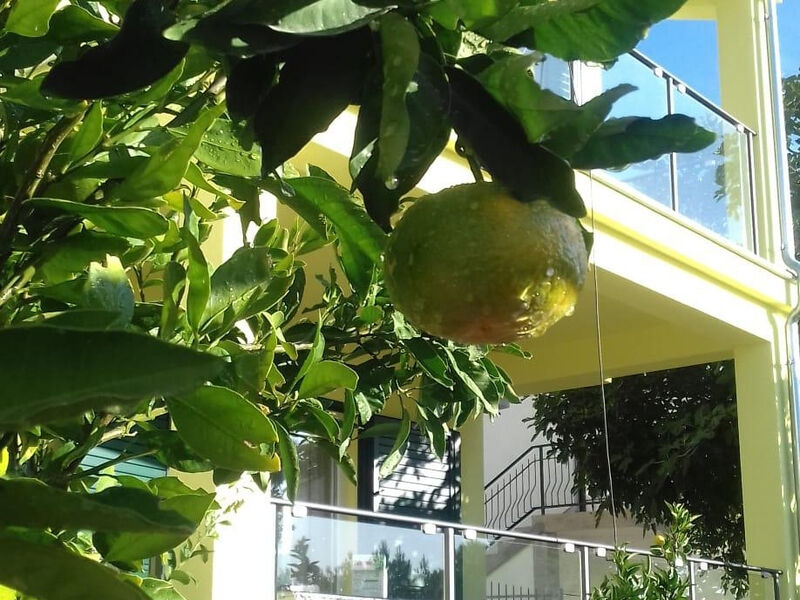 Apartmány 3298-3624
