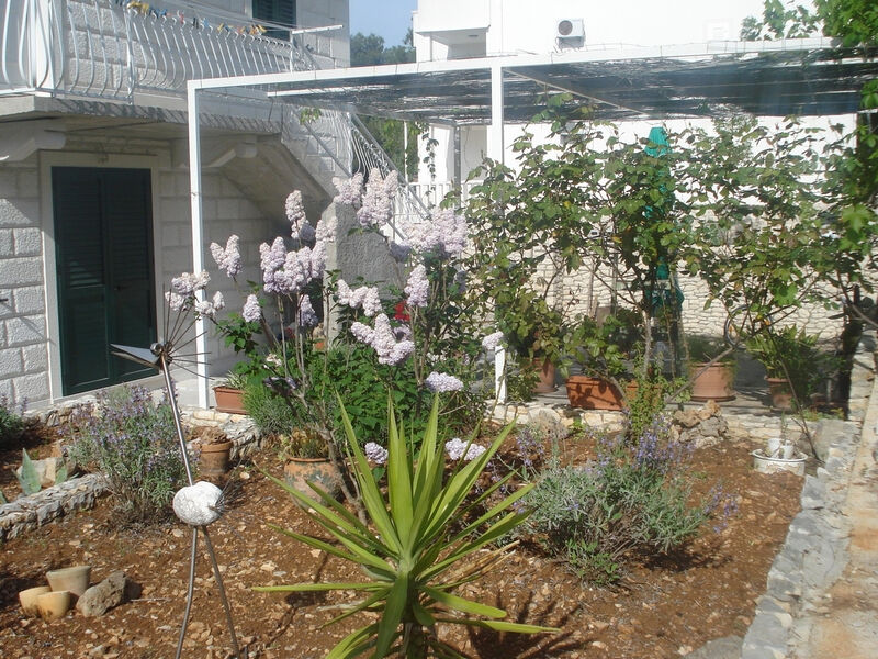 Apartmány 3298-4619
