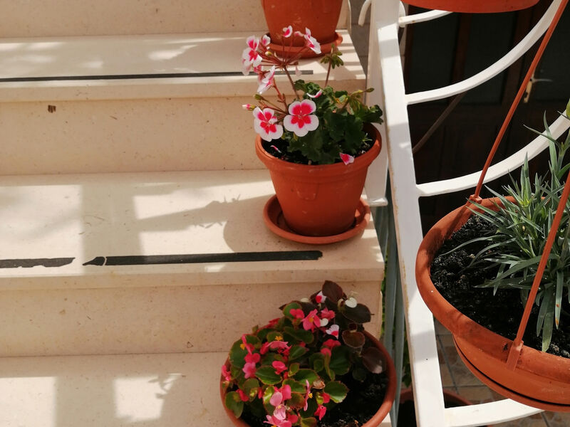 Apartmány 3298-5055
