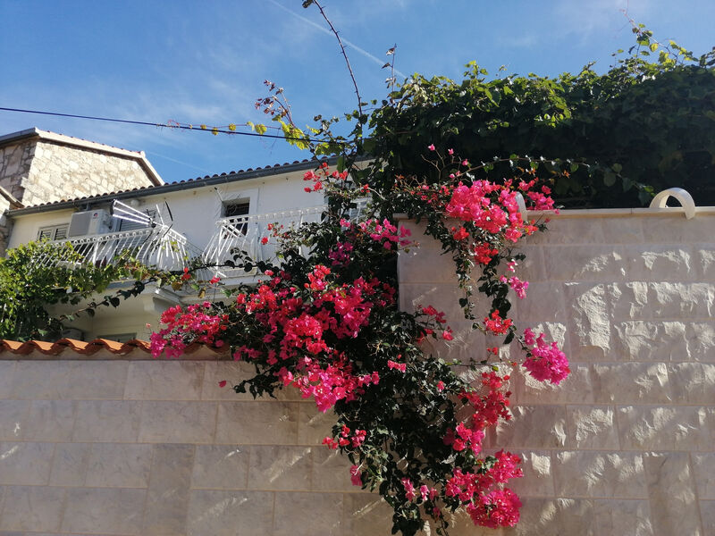 Apartmány 3298-5055