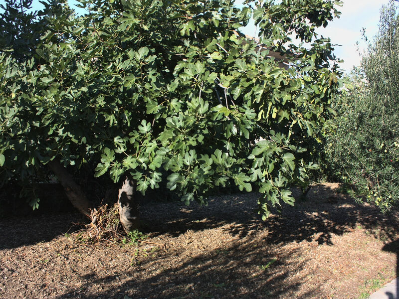 Apartmány 3298-5069