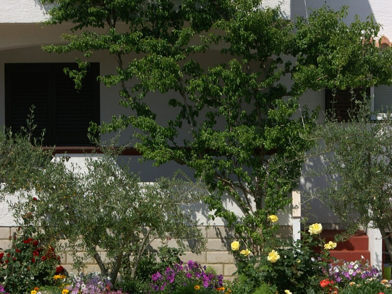 Apartmány 3298-5100