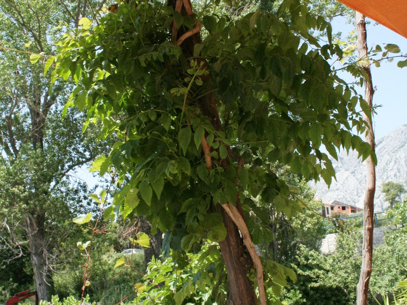 Apartmány 3298-5122
