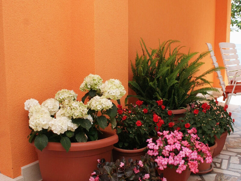 Apartmány 3298-5122