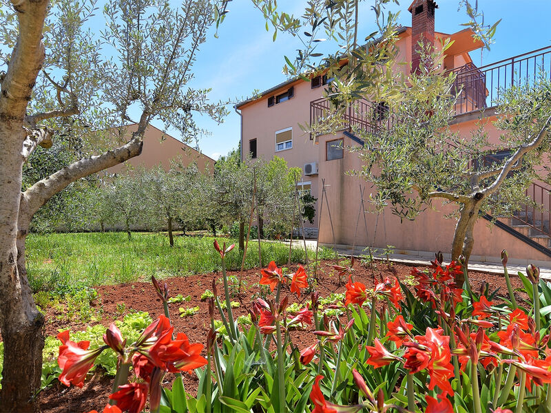 Apartmány 3298-5580