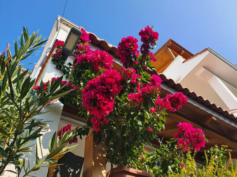 Apartmány 3298-5681