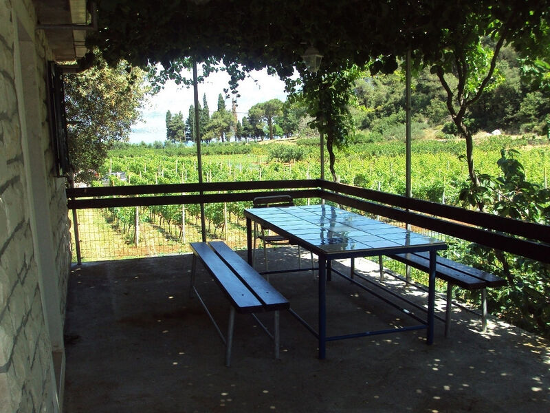 Robinzonáda 3298-5724