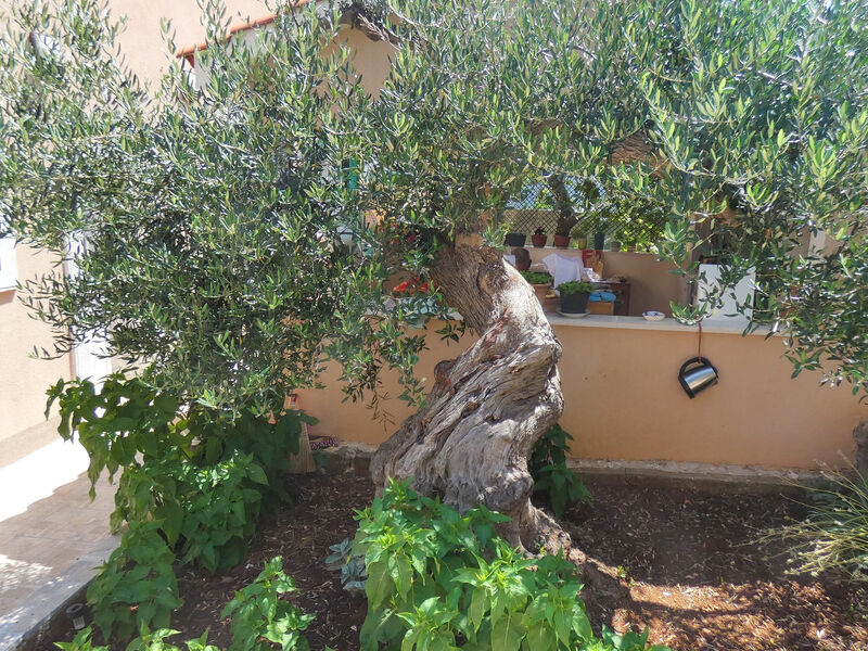 Apartmány 3298-5780
