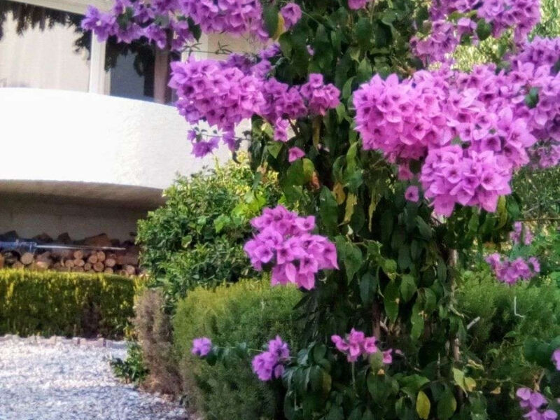 Apartmány 3298-5915