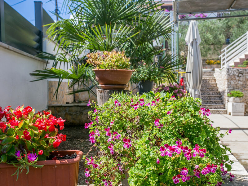 Apartmány 3298-6305