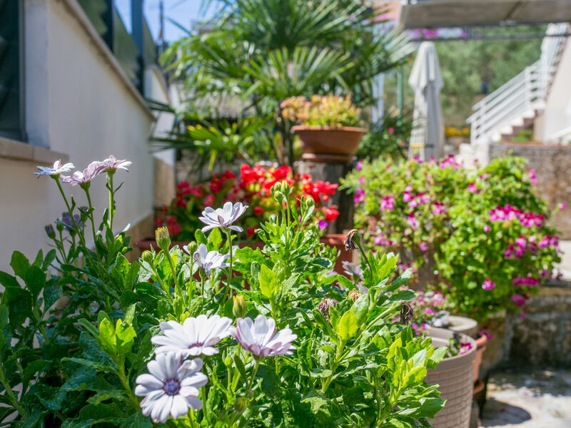 Apartmány 3298-6305