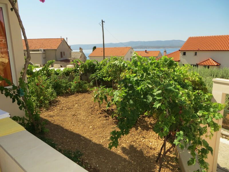 Apartmány 3298-6400