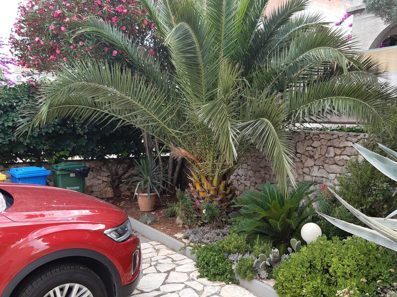 Apartmány Ružica