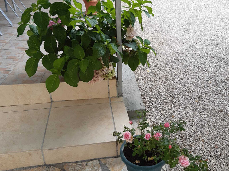 Apartmány Ružica