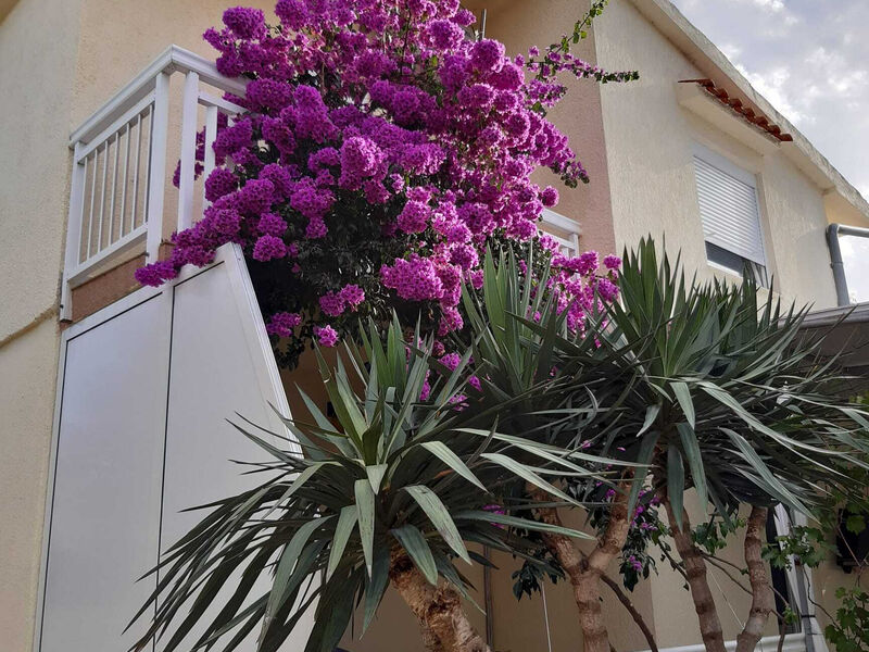 Apartmány Ružica