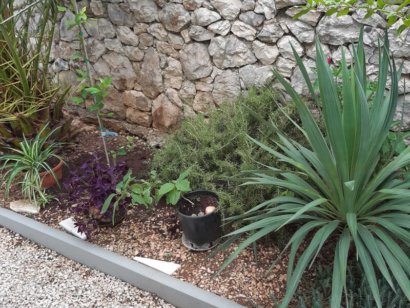 Apartmány Ružica