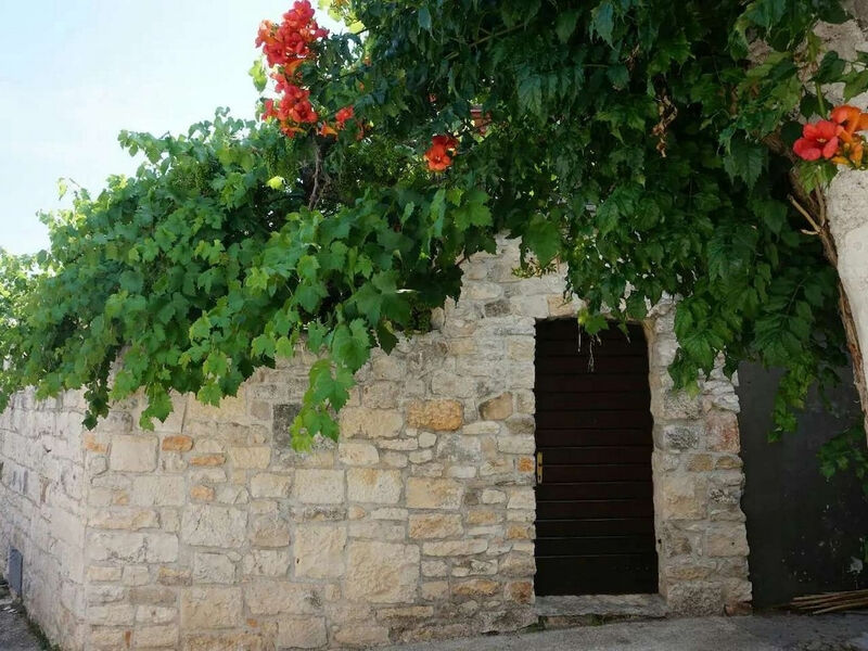 Apartmány 3298-6551