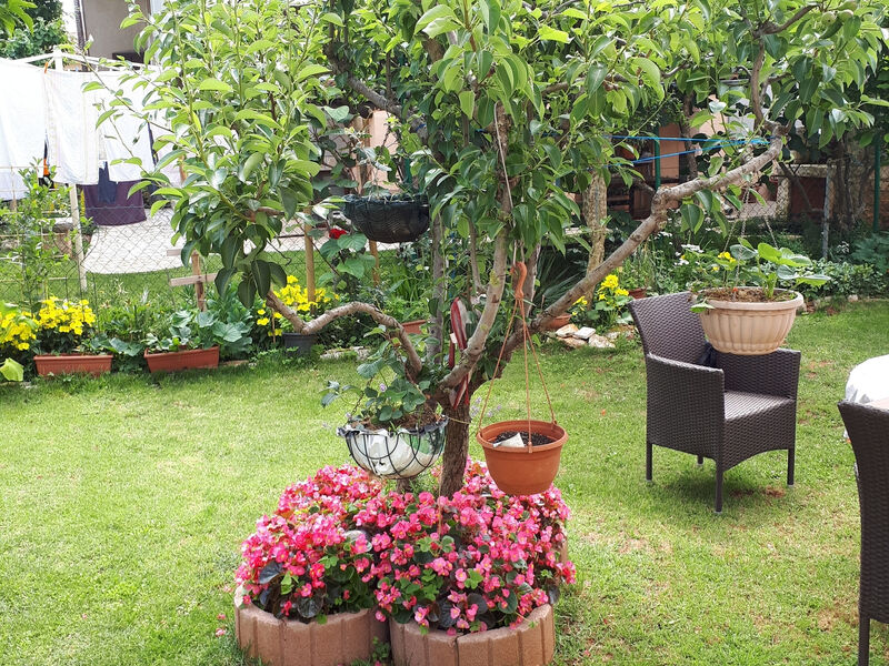 Apartmány 3298-6611