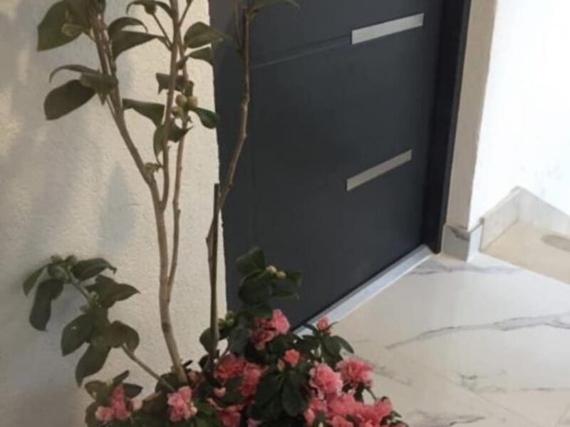 Apartmány 3298-6654