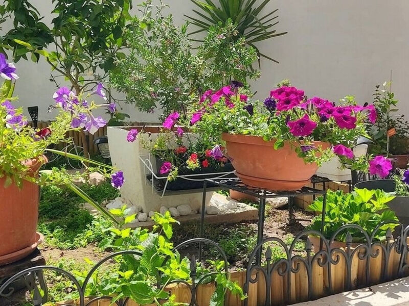 Apartmány 3298-6801