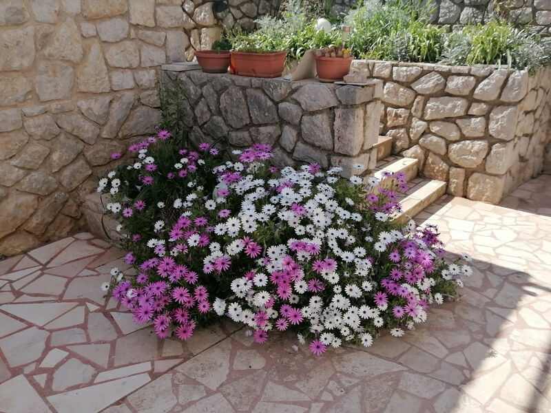 Apartmány 3298-6908