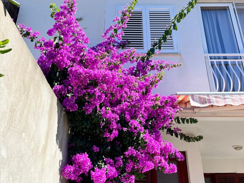 Apartmány 3298-6931
