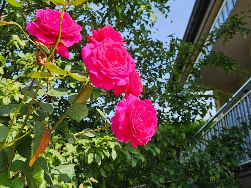 Apartmány 3298-6943