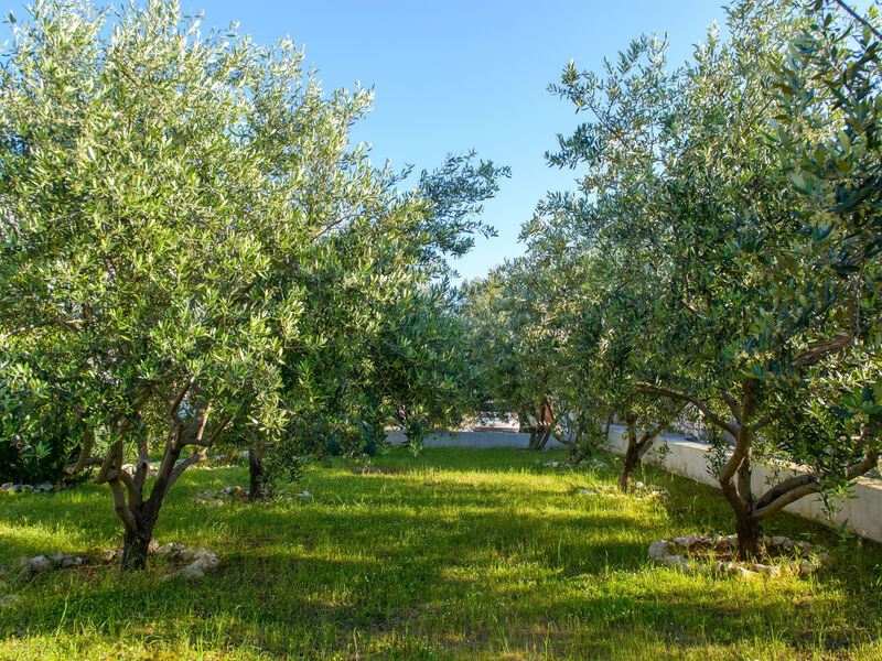 Apartmány 3298-7040