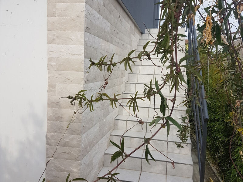 Apartmány 3298-7045