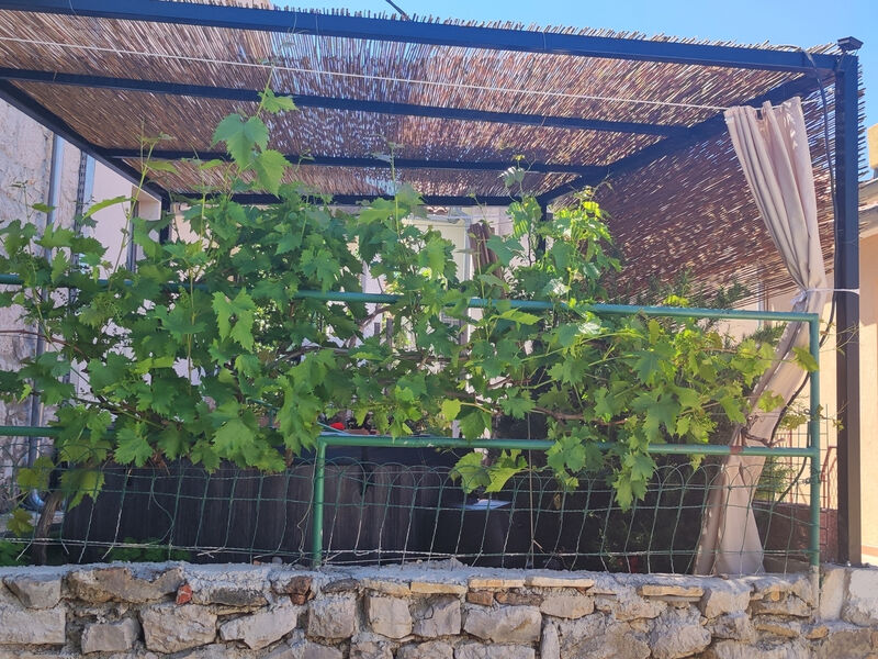 Apartmány 3298-7102