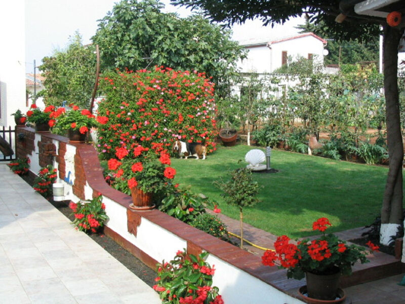 Apartmány 1355-3810