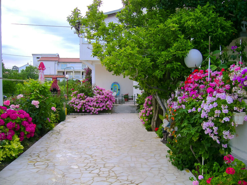 Apartmány 1355-3819