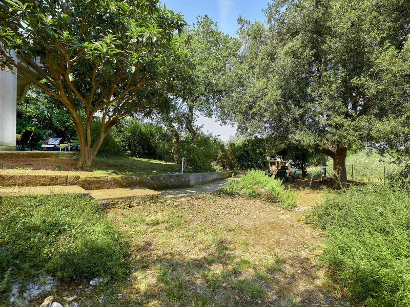 Apartmány 1355-3829