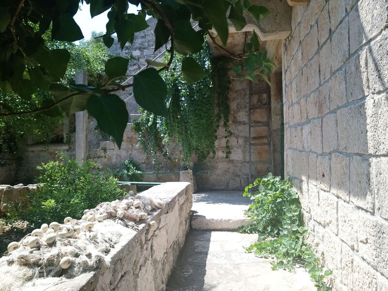 Apartmány 1355-3872