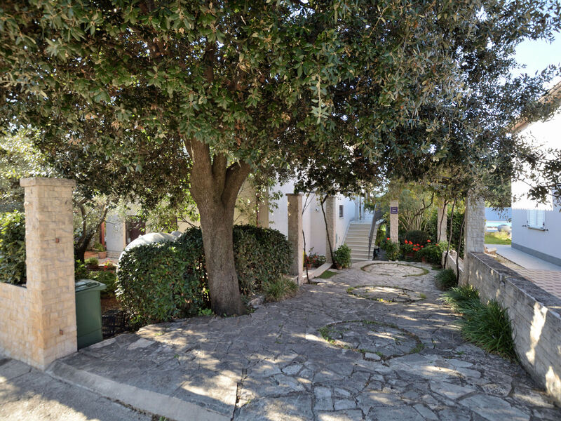 Apartmány 1355-3907