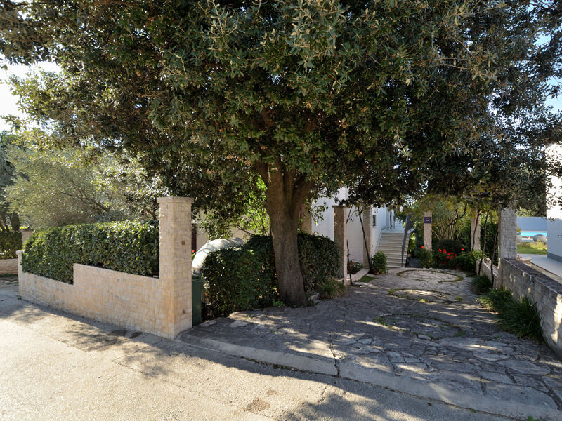 Apartmány 1355-3907