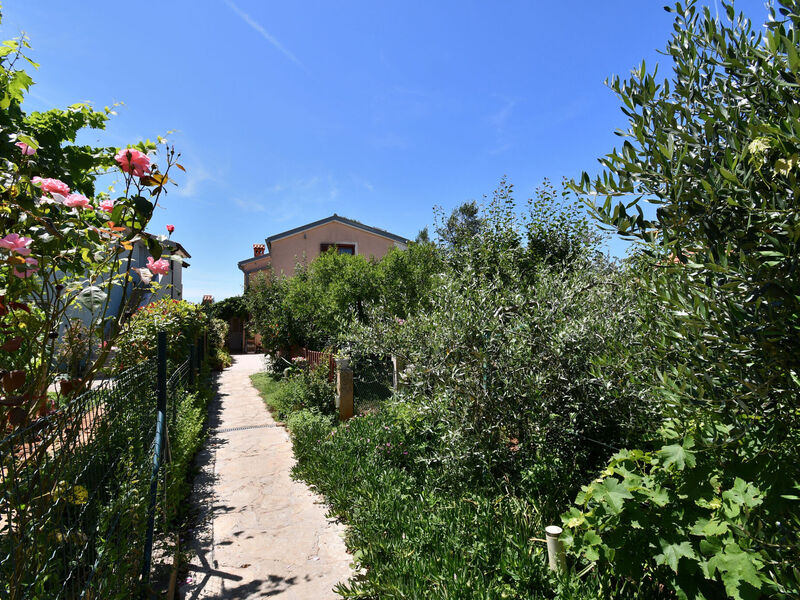 Apartmány 1355-3969