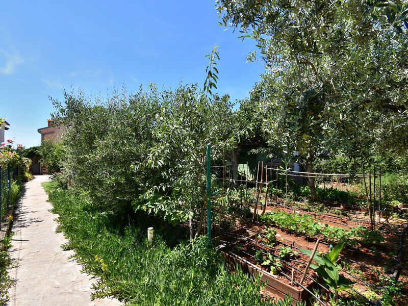 Apartmány 1355-3969