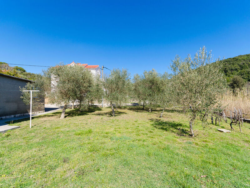 Apartmány 1355-3981