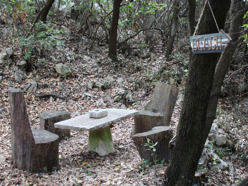 Robinzonáda 1355-4175