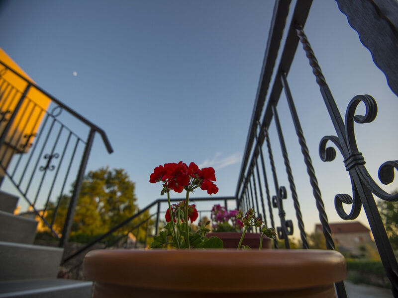 Apartmány 1355-4216