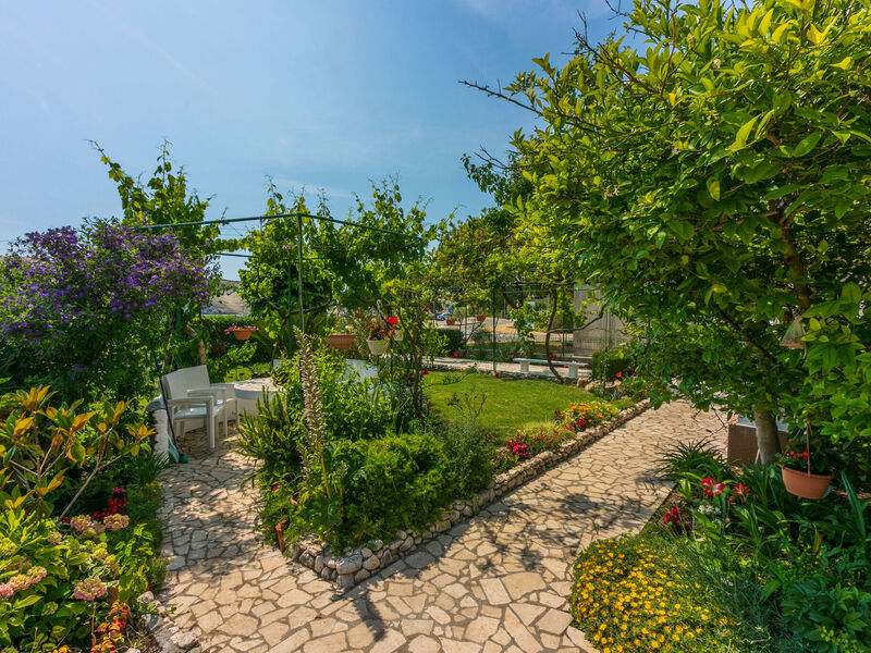 Apartmány 1355-4224