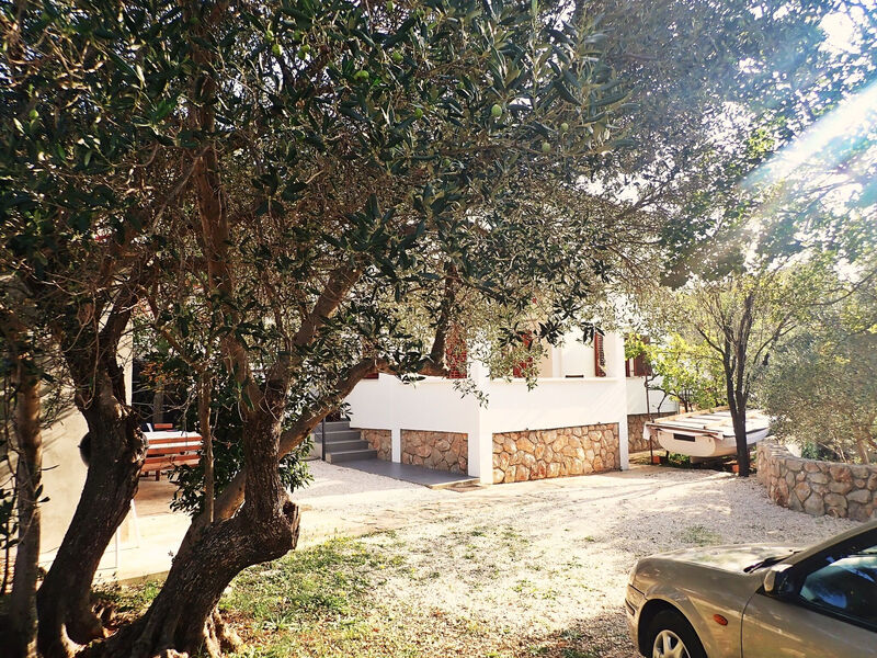 Apartmány 1355-4452