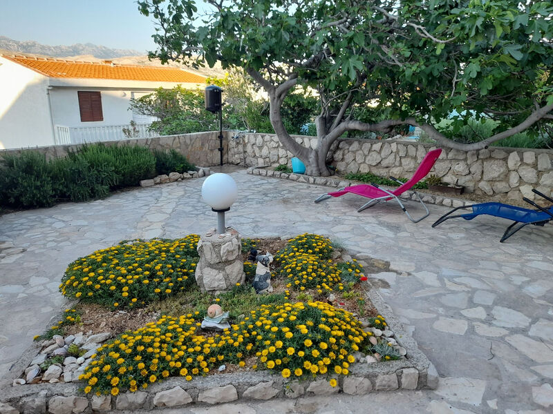 Apartmány 1355-4515