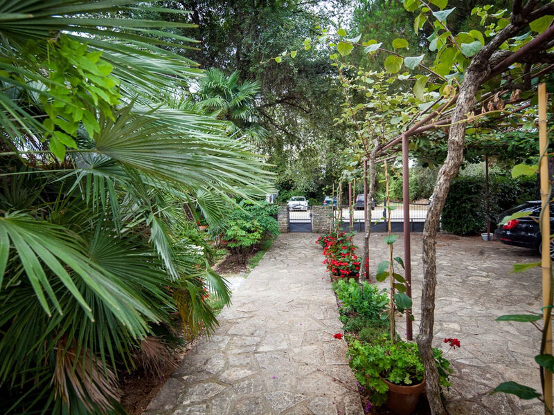 Apartmány 1355-4618