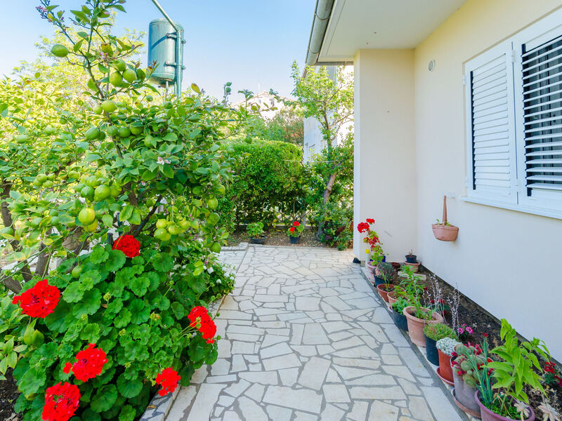 Apartmány 1355-4638