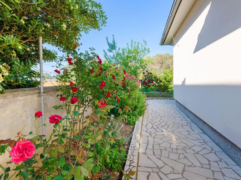 Apartmány 1355-4638