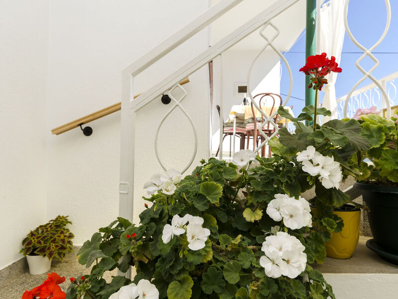 Apartmány 1355-4695