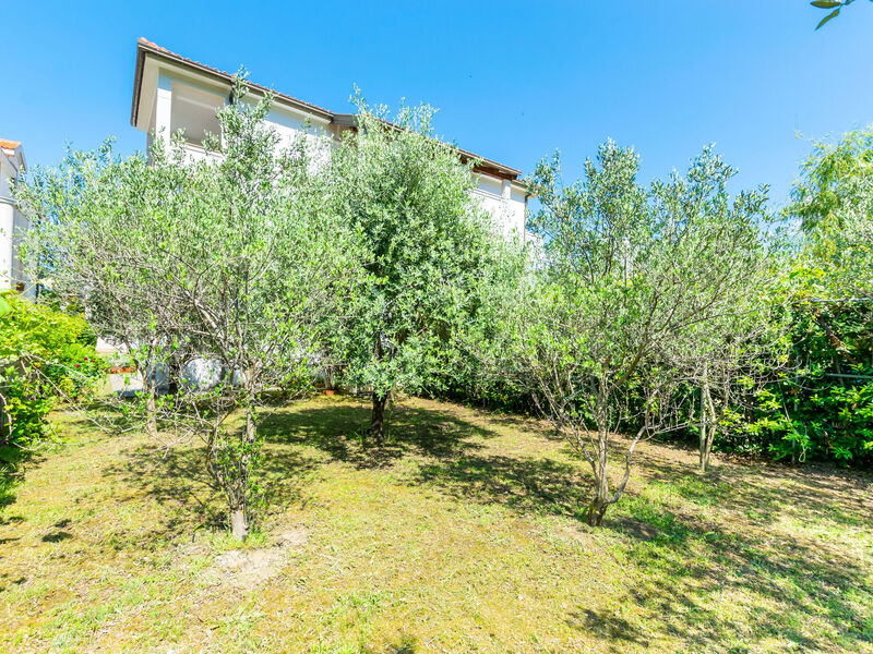 Apartmány 1355-4716