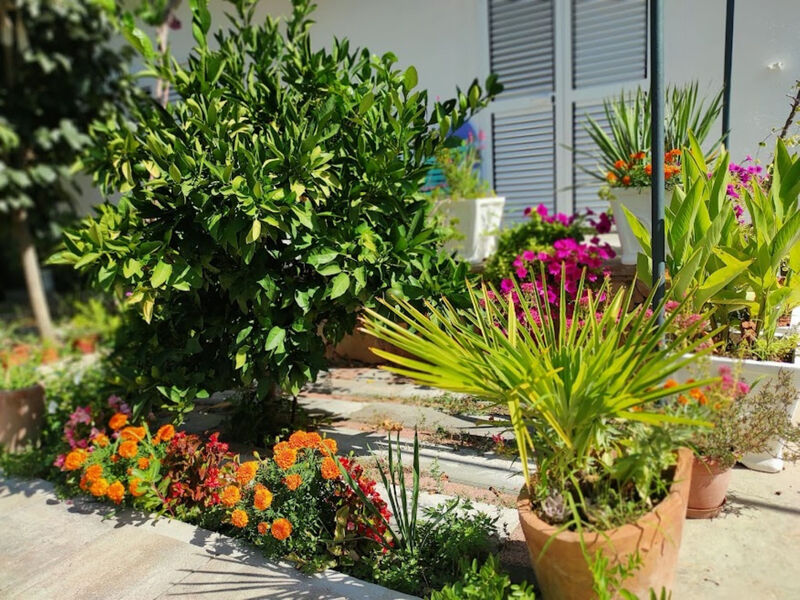 Apartmány 1355-4855